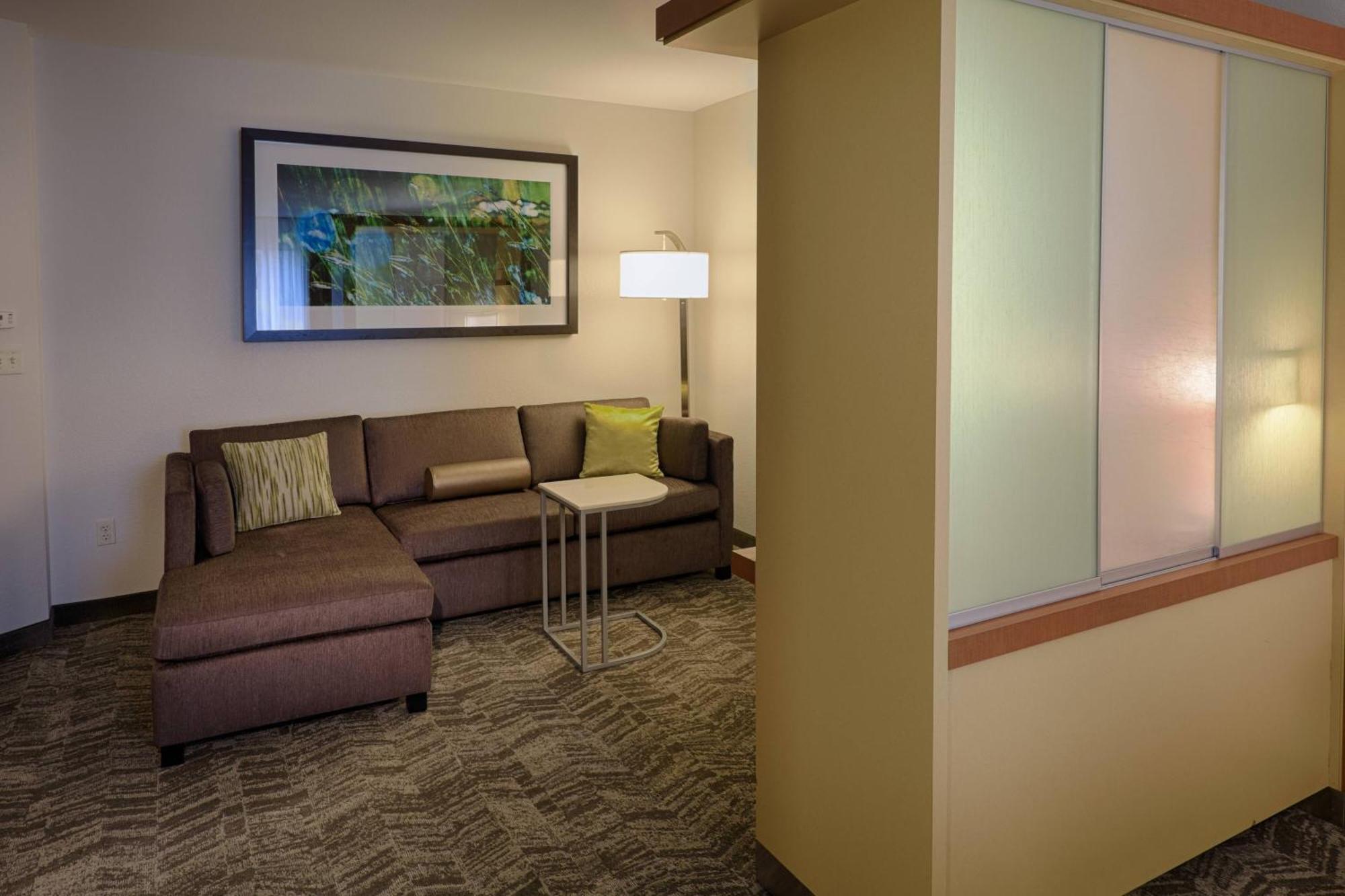 Springhill Suites By Marriott Albany Latham-Colonie Екстер'єр фото